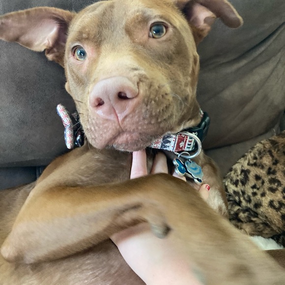 Meet your posher, Jennifer - Picture 6 of 7